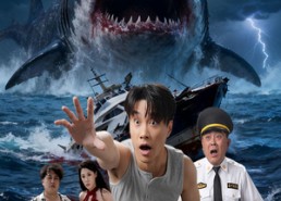 【海岛风波】50集短剧免费在线完整观