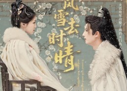 【来时风雪去时晴】51集精彩短剧免费观览