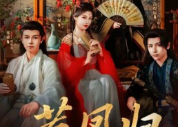 【惹凤归】60集短剧免费全集在线赏