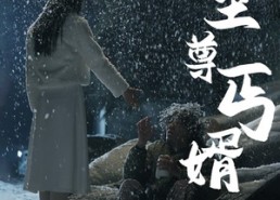 【至尊丐婿】91集短剧免费全集随心赏