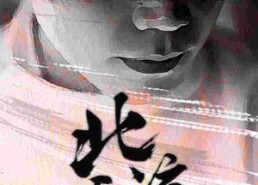 【北凉天王】74集短剧完整版在线赏