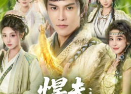 【悍夫从退婚开始逆袭】81集免费在线看短剧全集