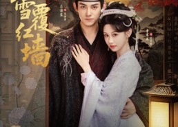 【春雪覆红墙】84集短剧免费全集在线览