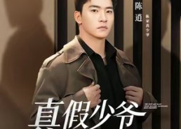 【真假少爷血脉觉醒】63集免费短剧全集畅享观看