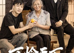 【可怜天下慈母心&母望子归】74集短剧免费在线尽情看