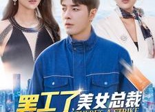 【罢工了，美女总裁跪求我上班】102集免费短剧全集速看