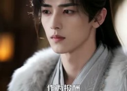 【救命我的夫君柔弱不能自理】100集精彩短剧免费在线收看