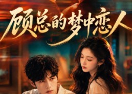 【顾总的梦中恋人】83集短剧在线高清赏看