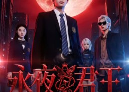 【永夜君王】88集短剧在线观看完整版