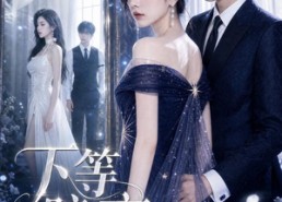 【下等暗恋】80集精彩短剧在线速看