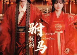 【契约驸马爷】74集短剧在线播放免费享