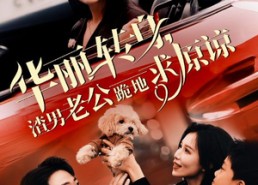 【华丽转身渣男老公跪地求原谅】30集短剧全集在线畅看