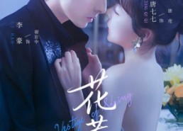 【花惹】70集全网免费短剧在线观看