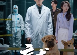 【病犬危机】68集短剧在线免费观享