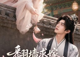 【翻墙求嫁，只为拐个将军夫君】50集短剧免费高清观看