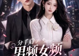 【分手后男频女频大乱斗第二季】88集短剧免费在线赏看