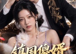 【镇国傻婿：绝美老婆爱疯我了2】105集短剧免费全集畅快看