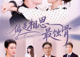 【烬爱无归处】70集短剧完整版免费看