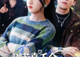 【别惹真千金，她可是爽文掌公主】79集短剧完整版免费观看