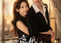 【当离婚律师想离婚第二季】79集短剧免费完整观看