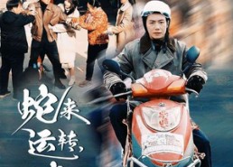 【蛇来运转回家过年】55集在线看短剧全集