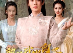 【糟糕我假皇子的身份要曝光了】90集短剧免费在线全集观赏