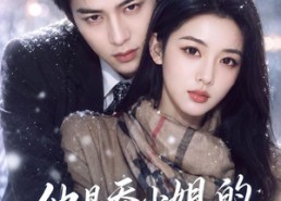 【他是乔小姐的顶级白月光】112集短剧免费在线赏看