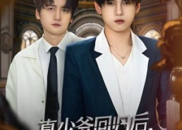 【真少爷回归后，嗨翻全场】84集免费嗨翻短剧全集直看