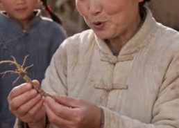 【懒萌牛妞，今天又没挨揍2】189集短剧全集免费赏看
