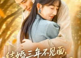 【结婚三年不见面，冷面老公离婚吧】67集短剧免费全集网上看
