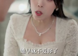 【覆雪之诺，逢春可期】80集优质短剧免费在线赏看