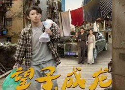【望子成龙】60集短剧全集在线免费速看