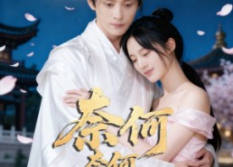 【奈何奈何不逢君】57集短剧在线免费畅看