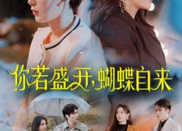 【你若盛开，蝴蝶自来】63集短剧全集免费看