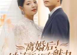 【离婚后，她该死的有魅力】87集免费短剧全集览看