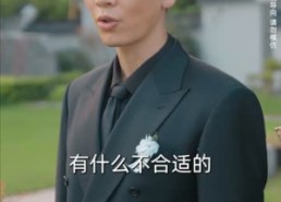 【枕边出逃】31集短剧免费在线全集享