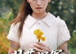 【月落沉冤今当昭雪】60集短剧免费全集线上赏