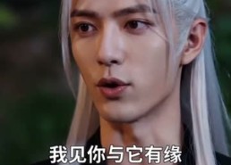 【饲神】34集短剧免费全集畅享观看