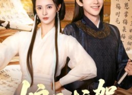 【娘子护驾】73集短剧免费完整观看