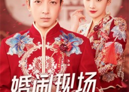 【婚闹现场我忍无可忍】30集短剧全集即点即看