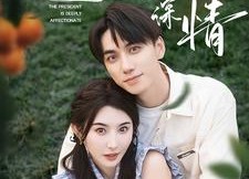 【闪婚总裁太深情】93集短剧免费全集赏看