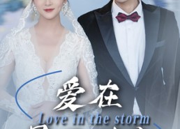 【爱在暴雨时分】55集短剧全集免费高清赏