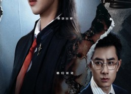 【亲爱的律师小姐】50集全网短剧免费在线看