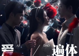 【爱到遍体鳞伤】84集免费短剧高清全集观看