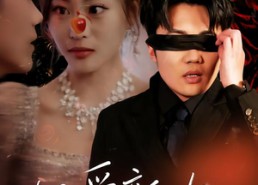 【旧爱新欢】48集短剧免费在线播放