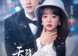 【天降小孕妻，傅爷他拿命宠】76集短剧全集免费在线看