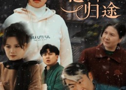 【天下无拐之意外归途】61集高清短剧在线观看