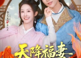 【天降福妻傻夫郎】85集短剧在线全集赏看