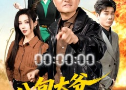 【八旬大爷专治不平】80集短剧在线观看无需付费