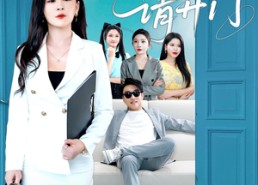 【叮咚请开门】80集短剧免费全集观览